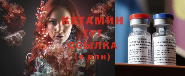 прущие грибы Бронницы