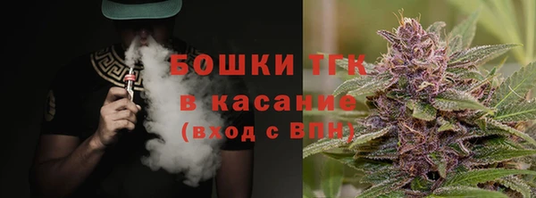 спайс Богданович
