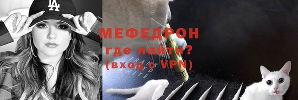 гашик Верея