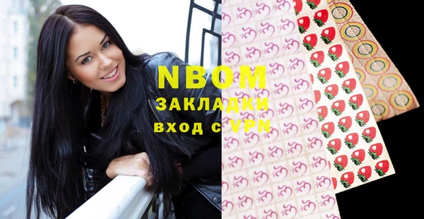 гашик Верея