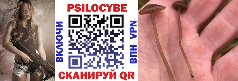 Галлюциногенные грибы Magic Shrooms  купить  сайты  Дюртюли 